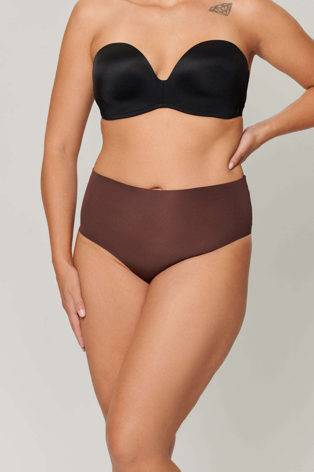 Microfiber High Rise Brief Plum