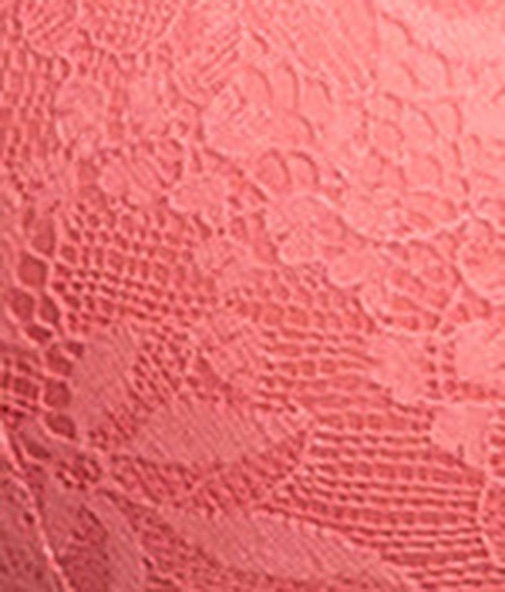 Elevate Lace Plunge Bra